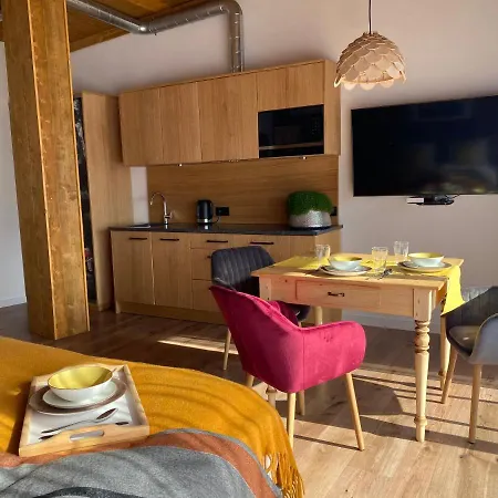 Aparthotel Apartamenty U Harrego Boutique Spa Masaze, Sauna, Teznia Solankowa , Balkon , Taras , Klimatyzacja , Parking 4*