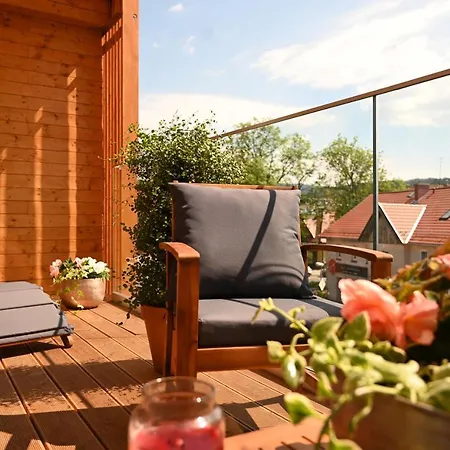 Apartamenty U Harrego Boutique Spa Masaze, Sauna, Teznia Solankowa , Balkon , Taras , Klimatyzacja , Parking 4* Kudowa-Zdrój