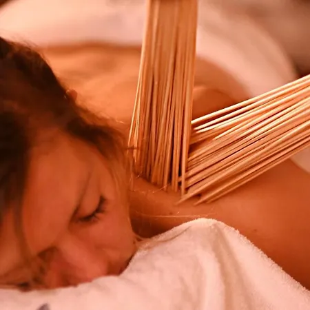 Aparthotel U Harrego Boutique Z Klimatyzacja, Balkon, Sauna, Teznia Parking Kudowa Zdroj