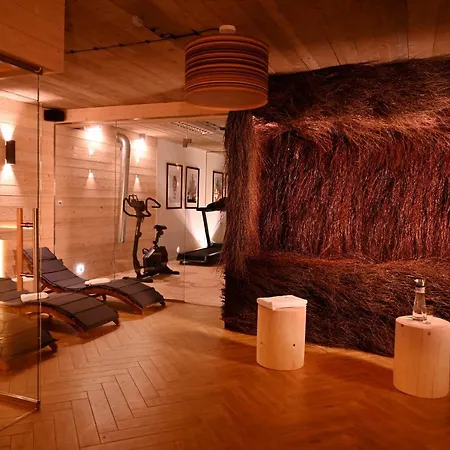 Aparthotel U Harrego Boutique Z Klimatyzacja, Balkon, Sauna, Teznia Parking *
