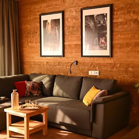 Apartamenty U Harrego Boutique Spa Masaze, Sauna, Teznia Solankowa , Balkon , Taras , Klimatyzacja , Parking Aparthotel 4*