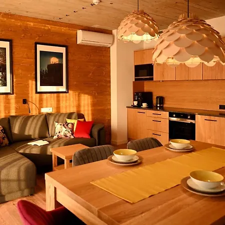 Apartamenty U Harrego Boutique Spa Masaze, Sauna, Teznia Solankowa , Balkon , Taras , Klimatyzacja , Parking 4*