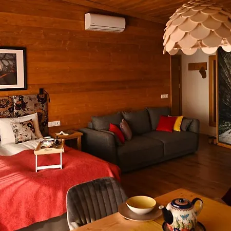 U Harrego Boutique Z Klimatyzacja, Balkon, Sauna, Teznia Parking Aparthotel