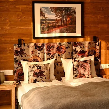 Aparthotel U Harrego Boutique Z Klimatyzacja, Balkon, Sauna, Teznia Parking Kudowa Zdroj