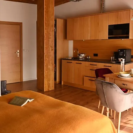 Apartamenty U Harrego Boutique Spa Masaze, Sauna, Teznia Solankowa , Balkon , Taras , Klimatyzacja , Parking Kudowa-Zdrój