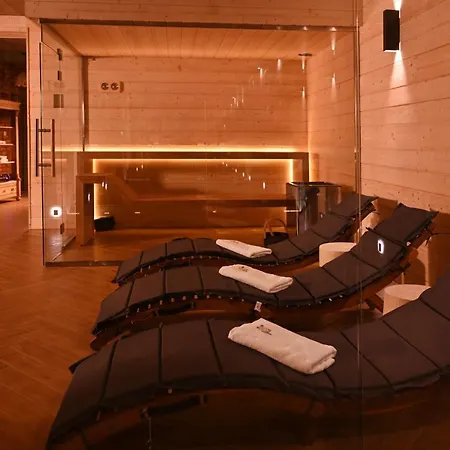 Apartamenty U Harrego Boutique Spa Masaze, Sauna, Teznia Solankowa , Balkon , Taras , Klimatyzacja , Parking Kudowa-Zdrój