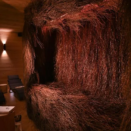 Aparthotel U Harrego Boutique Z Klimatyzacja, Balkon, Sauna, Teznia Parking