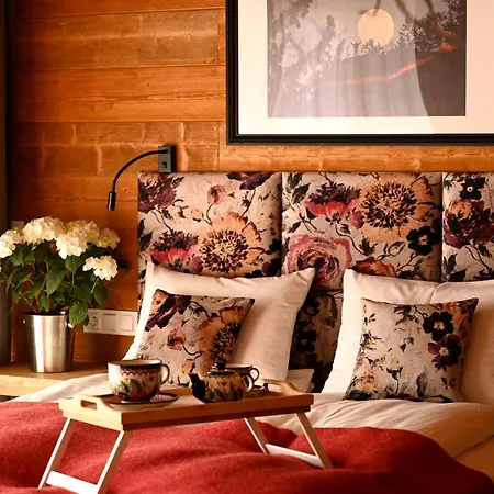 Apartamenty U Harrego Boutique Spa Masaze, Sauna, Teznia Solankowa , Balkon , Taras , Klimatyzacja , Parking Aparthotel Kudowa-Zdrój