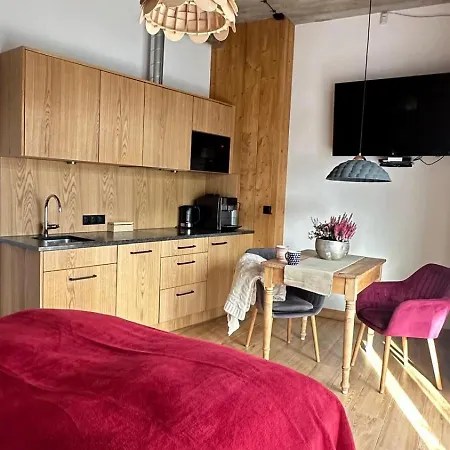 Apartamenty U Harrego Boutique Spa Masaze, Sauna, Teznia Solankowa , Balkon , Taras , Klimatyzacja , Parking 4*