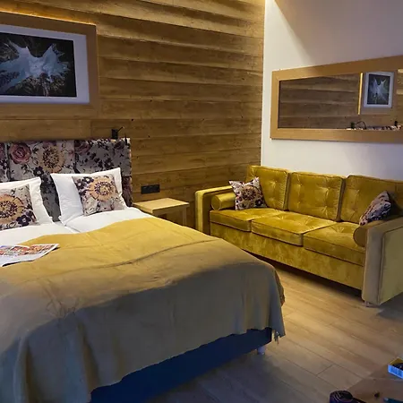Apartamenty U Harrego Boutique Spa Masaze, Sauna, Teznia Solankowa , Balkon , Taras , Klimatyzacja , Parking