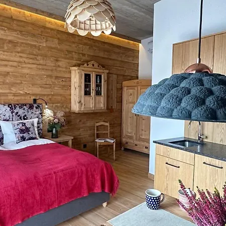 Apartamenty U Harrego Boutique Spa Masaze, Sauna, Teznia Solankowa , Balkon , Taras , Klimatyzacja , Parking Aparthotel 4*