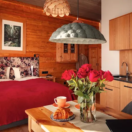 U Harrego Boutique Masaze, Sauna, Teznia Solankowa , Balkon , Taras , Klimatyzacja , Parking Lägenhetshotell 4*