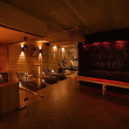 Aparthotel U Harrego Boutique Masaze, Sauna, Teznia Solankowa , Balkon , Taras , Klimatyzacja , Parking Kudowa-Zdrój