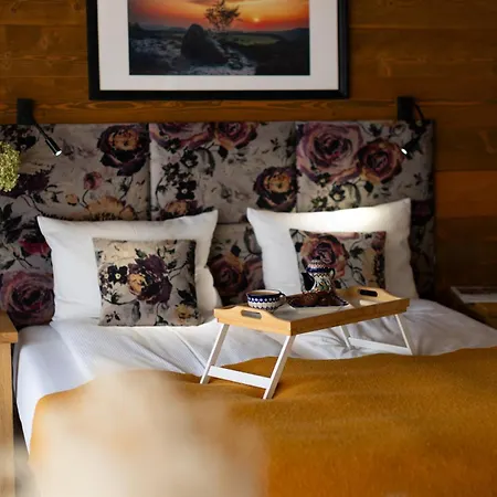 Hotel apartamentowy U Harrego Boutique Z Klimatyzacja, Balkon, Sauna, Tężnia Parking