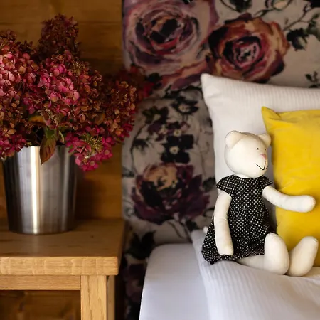 Aparthotel U Harrego Boutique Masaze, Sauna, Teznia Solankowa , Balkon , Taras , Klimatyzacja , Parking 4*