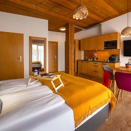 Aparthotel U Harrego Boutique Masaze, Sauna, Teznia Solankowa , Balkon , Taras , Klimatyzacja , Parking