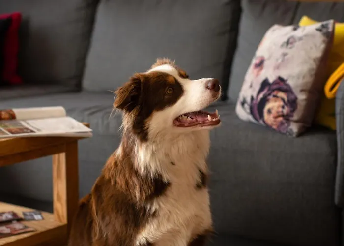 U Harrego Boutique Masaze, Sauna, Teznia Solankowa , Balkon , Taras , Klimatyzacja , Parking 4*