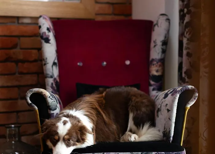 U Harrego Boutique Z Klimatyzacja, Balkon, Sauna, Tężnia Parking Hotel apartamentowy 4*