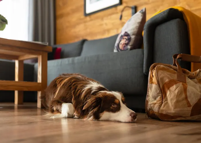 U Harrego Boutique Masaze, Sauna, Teznia Solankowa , Balkon , Taras , Klimatyzacja , Parking Kudowa-Zdrój